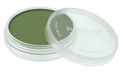 PanPastel Chromium Oxide Green Shade (660.3)