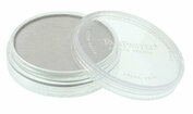 PanPastel Metallic Silver (920.5)