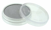 PanPastel Metallic Pewter (921.5)