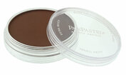 PanPastel Red Iron Oxide Extra Dark (380.1)