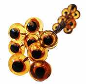 Glasauge Amber